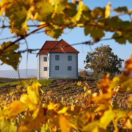 Апартаменти Wine Grower'S Mansion Zlati Gric Словенське Коніце Екстер'єр фото