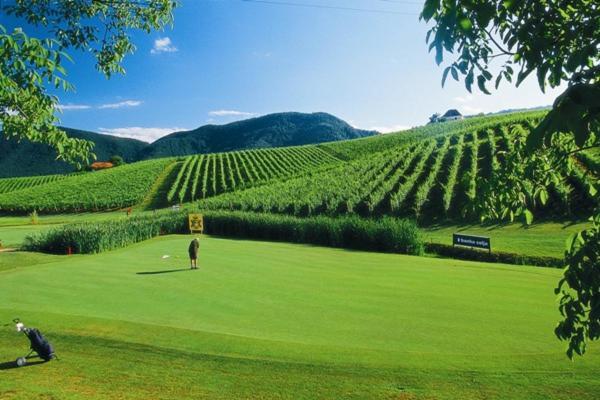 Апартаменти Wine Grower'S Mansion Zlati Gric Словенське Коніце Екстер'єр фото