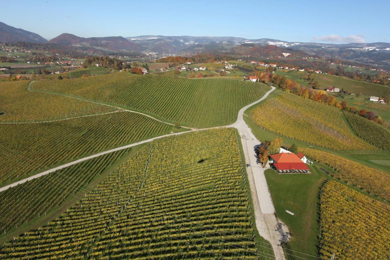 Апартаменти Wine Grower'S Mansion Zlati Gric Словенське Коніце Екстер'єр фото