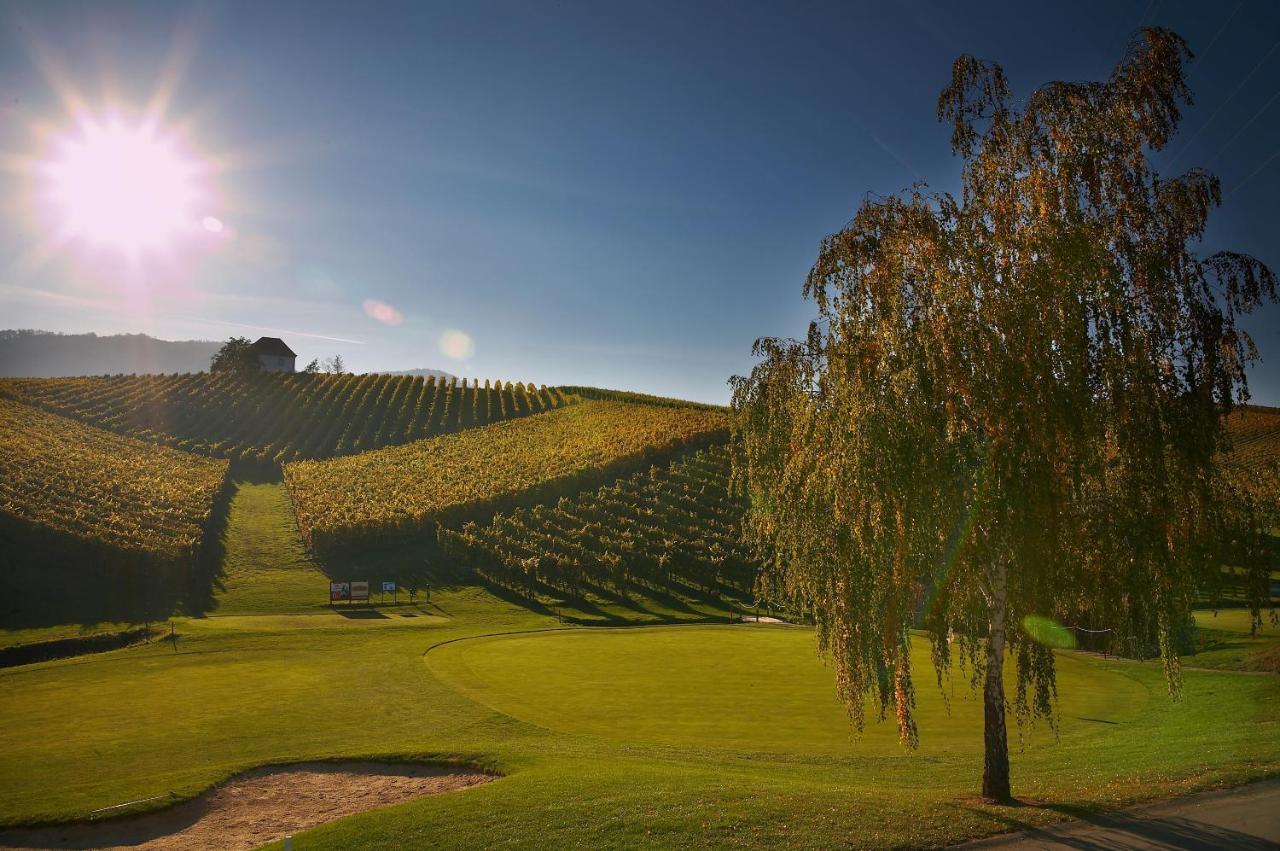 Апартаменти Wine Grower'S Mansion Zlati Gric Словенське Коніце Екстер'єр фото