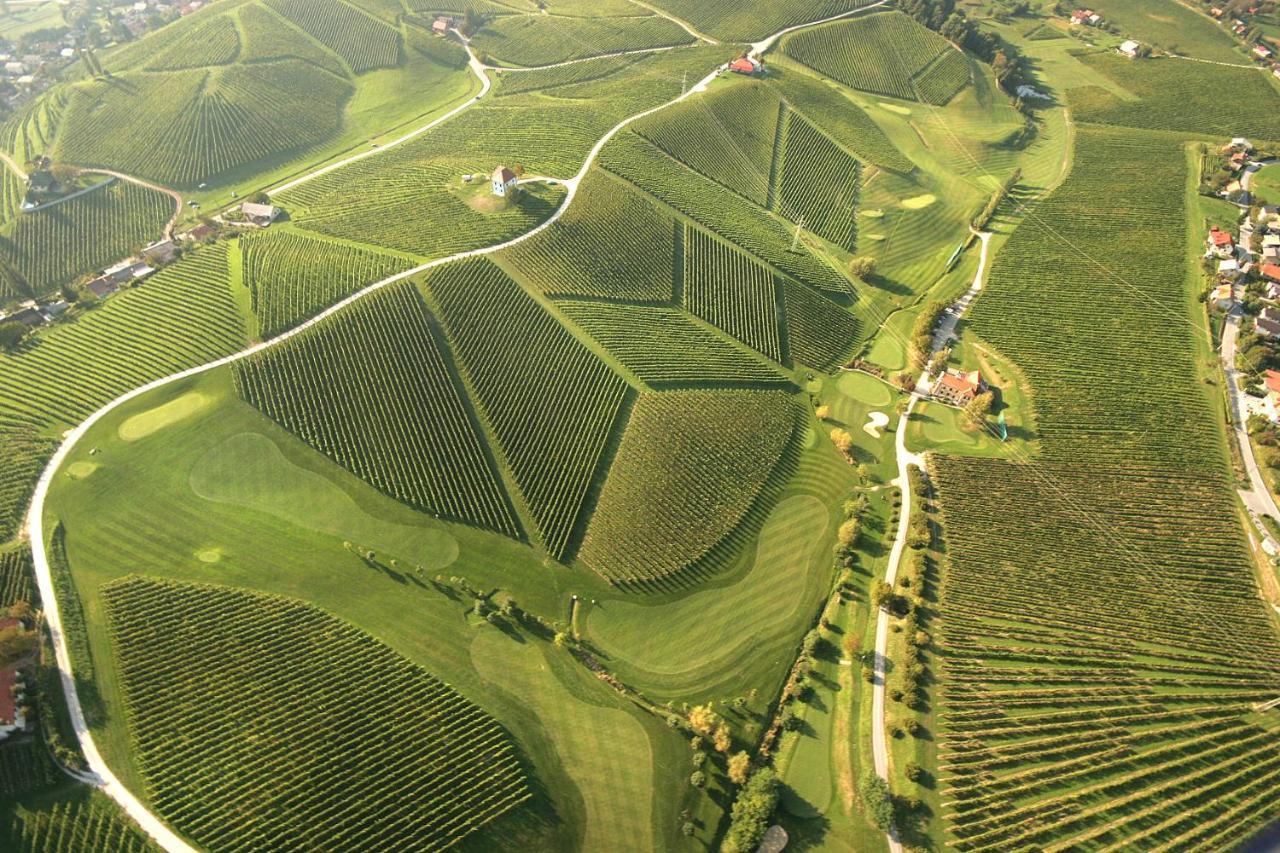 Апартаменти Wine Grower'S Mansion Zlati Gric Словенське Коніце Екстер'єр фото