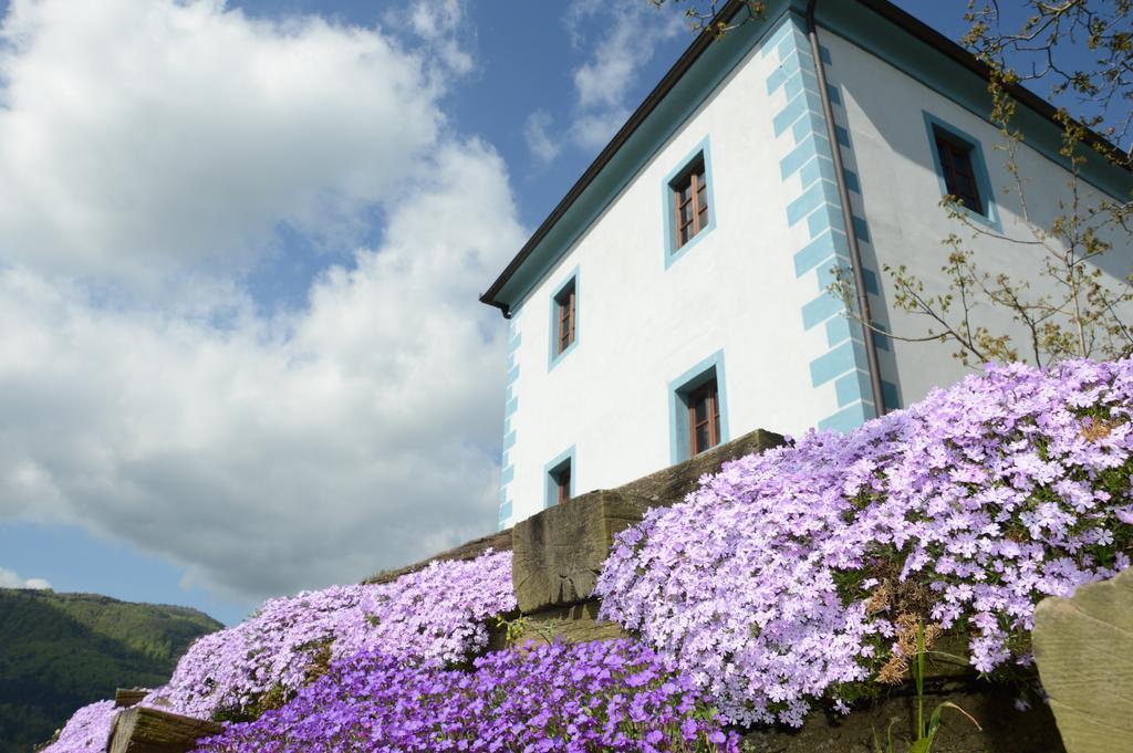 Апартаменти Wine Grower'S Mansion Zlati Gric Словенське Коніце Екстер'єр фото