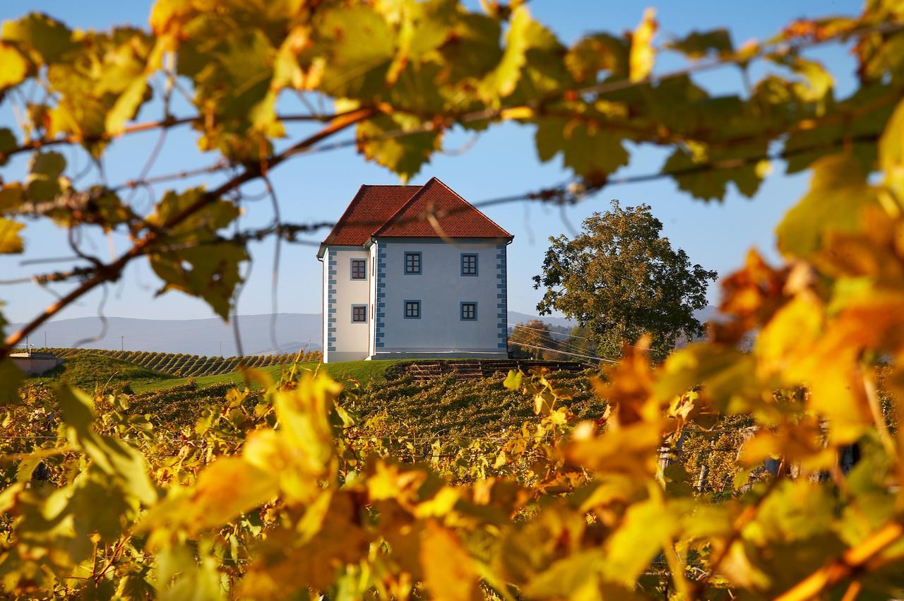 Апартаменти Wine Grower'S Mansion Zlati Gric Словенське Коніце Екстер'єр фото