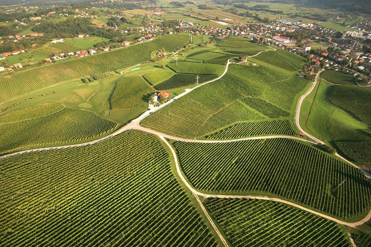 Апартаменти Wine Grower'S Mansion Zlati Gric Словенське Коніце Екстер'єр фото