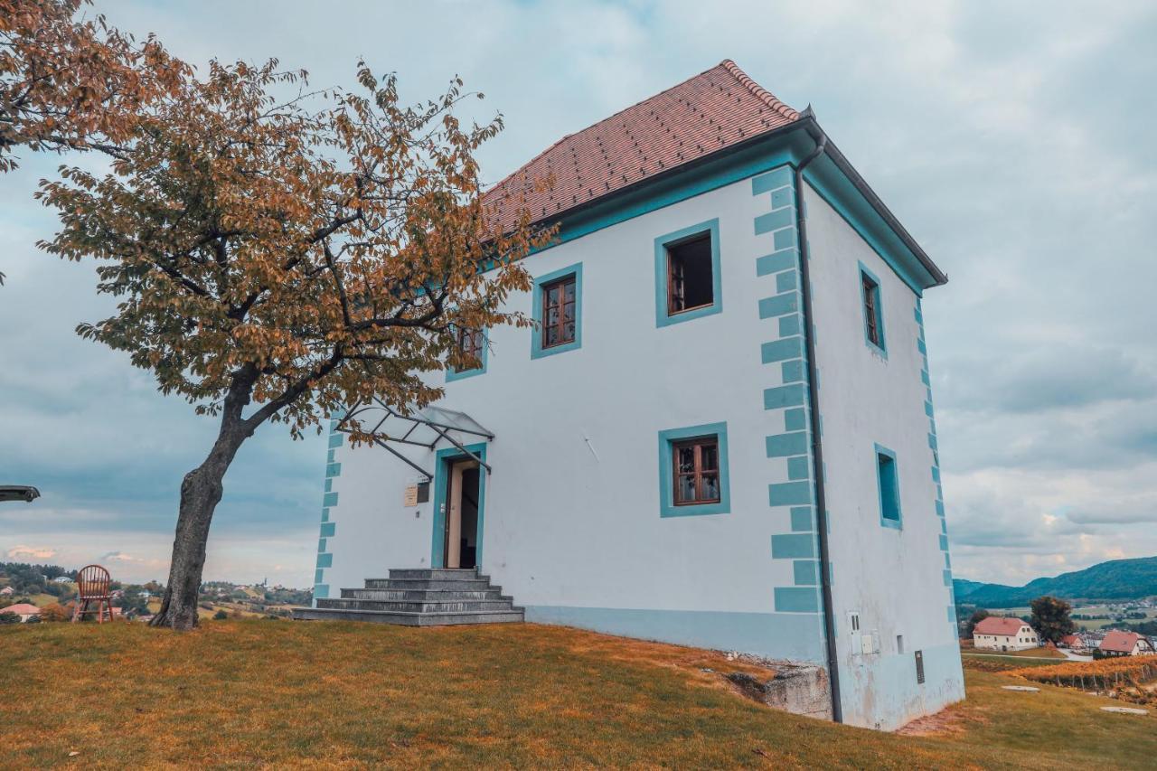 Апартаменти Wine Grower'S Mansion Zlati Gric Словенське Коніце Екстер'єр фото