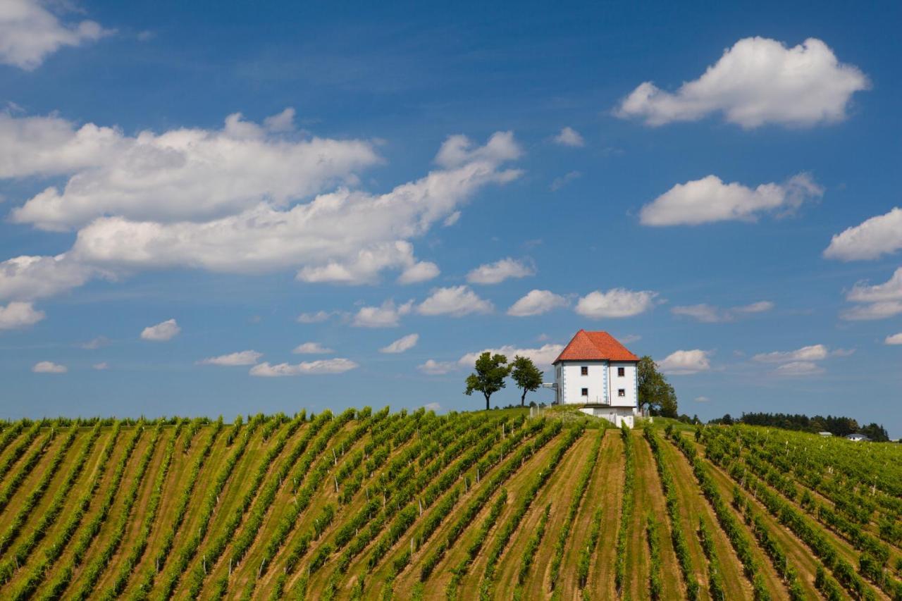 Апартаменти Wine Grower'S Mansion Zlati Gric Словенське Коніце Екстер'єр фото